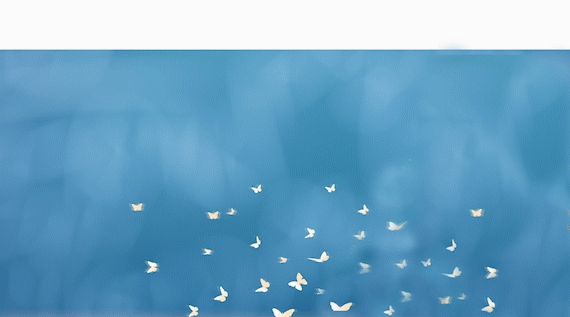 a11bc195d0ec6d5c00f70befe1d9c99b.gif